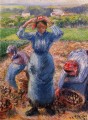 Los campesinos cosechando patatas 1882 Camille Pissarro